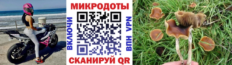 Псилоцибиновые грибы Magic Shrooms  Купить закладки  Саки 