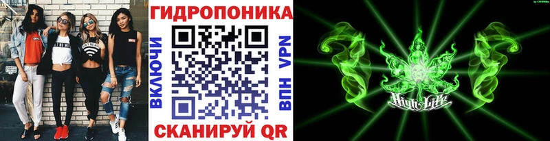 Конопля гибрид Купить закладки Саки